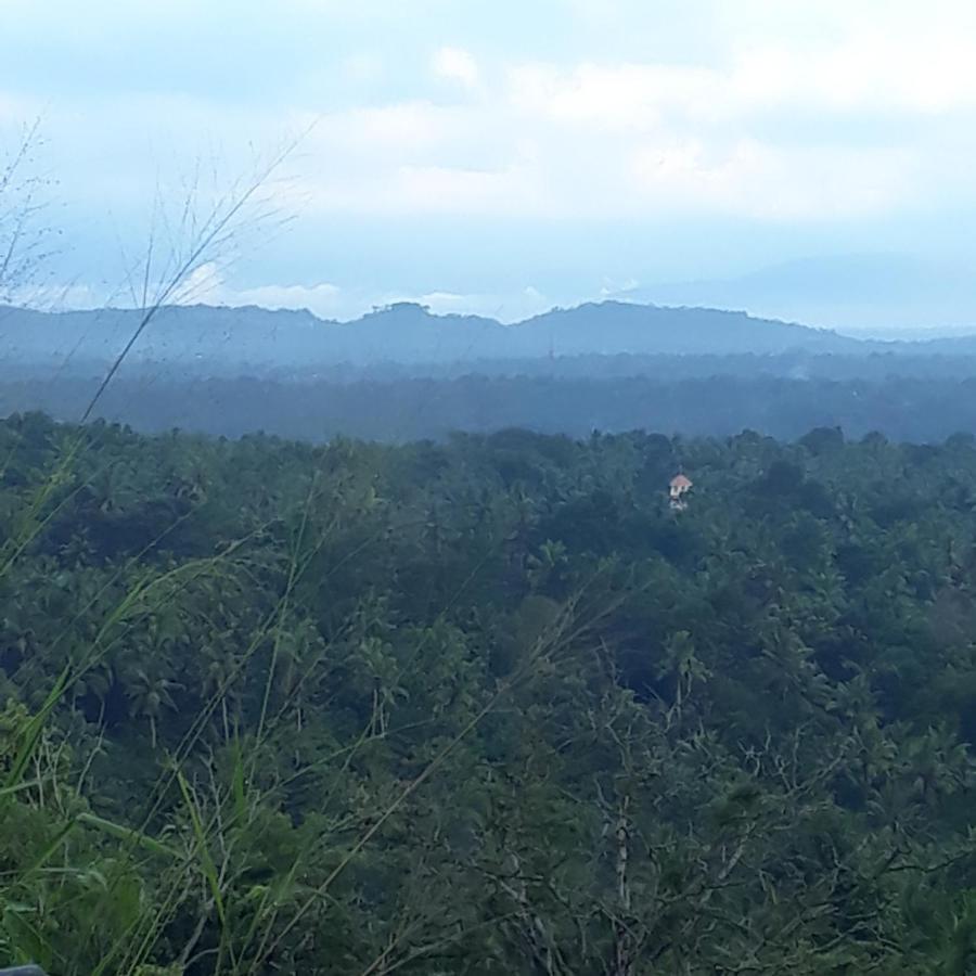 Amara Ayurveda Retreat- Overlooking Evergreen Western Ghats An Ecologically Sustainable Living Space In Kovalam Exterior photo